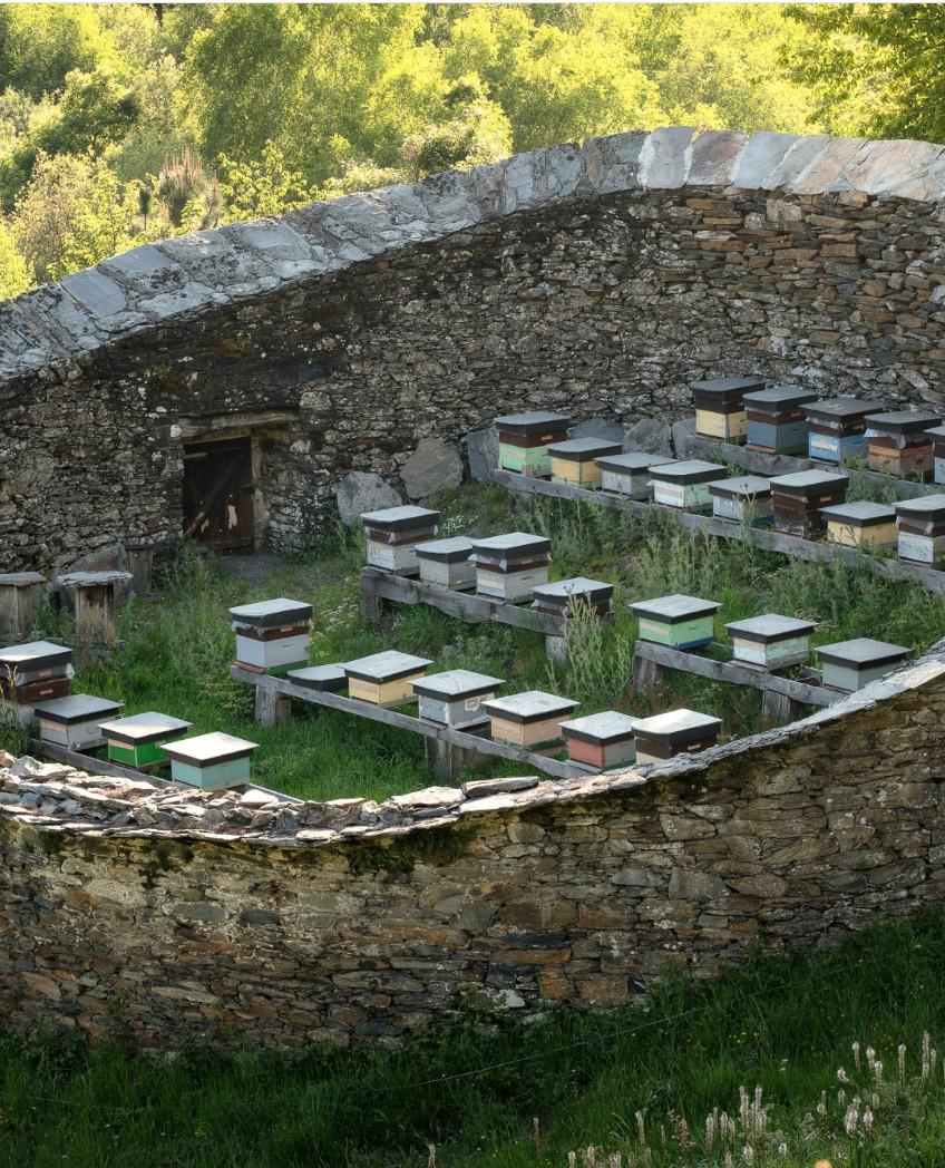 Cortíns y alvarizas: la arquitectura de la miel en Galicia