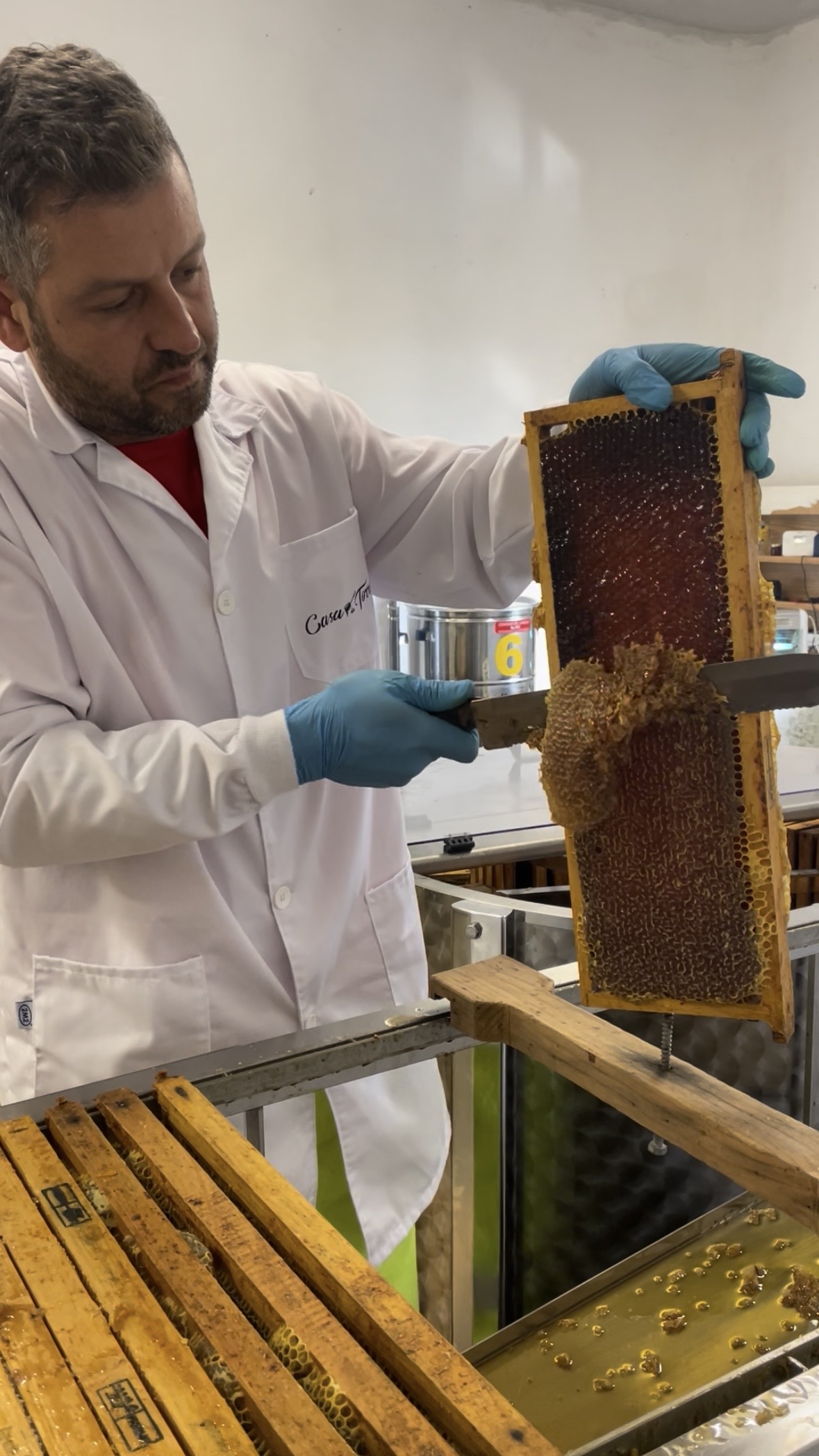 ¿Cómo se produce la miel? 