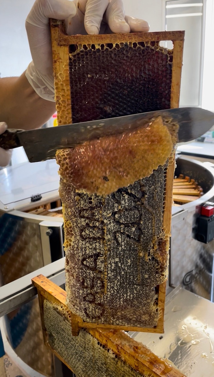 ¿Se desperdicia miel al desopercular un panal?